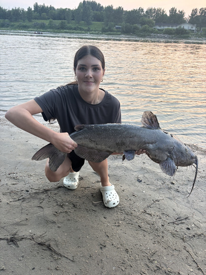 Channel Catfish