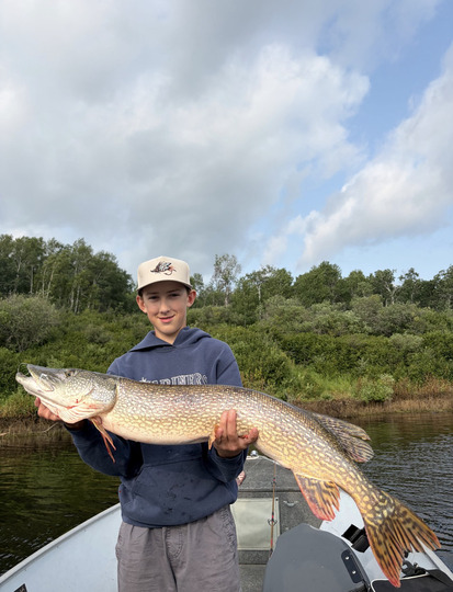 Northern Pike