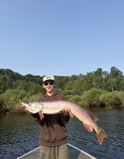 Northern Pike