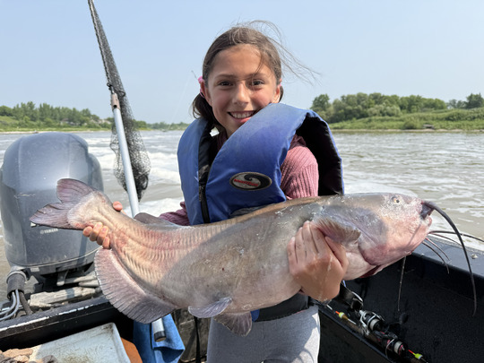 Channel Catfish