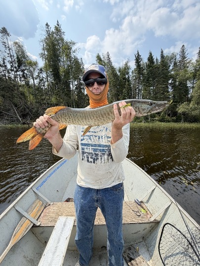 Muskellunge