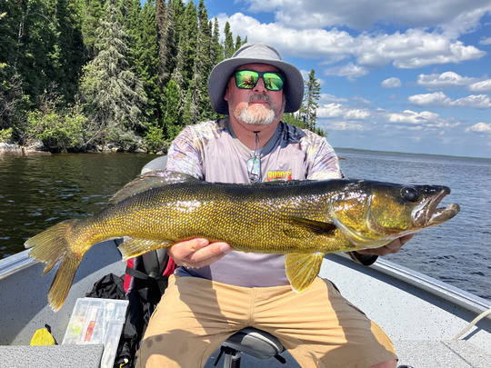 Walleye