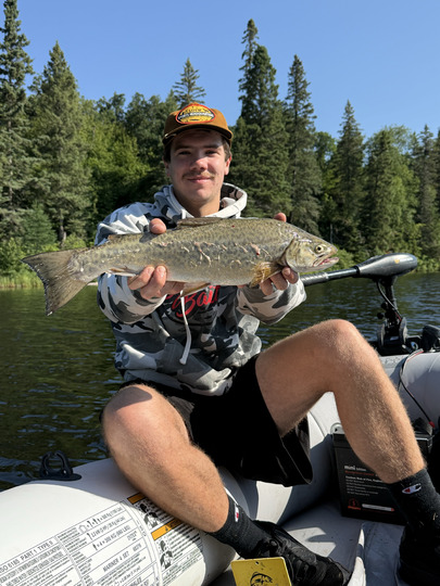 Tiger Trout