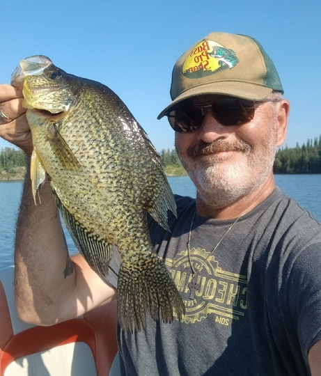 Black Crappie