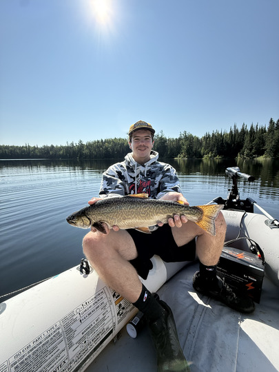 Tiger Trout