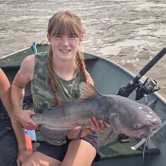 Channel Catfish