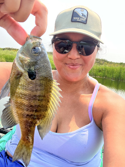 Sunfish