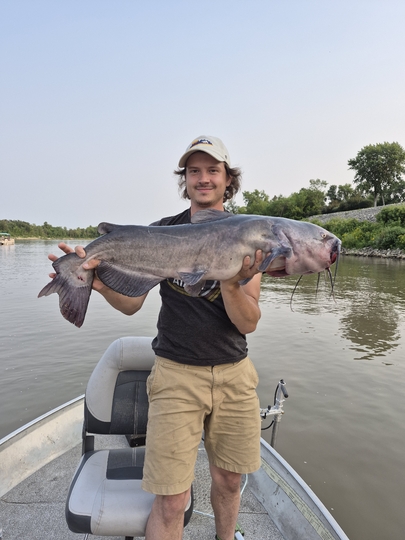 Channel Catfish