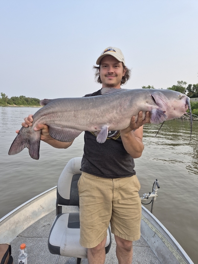 Channel Catfish
