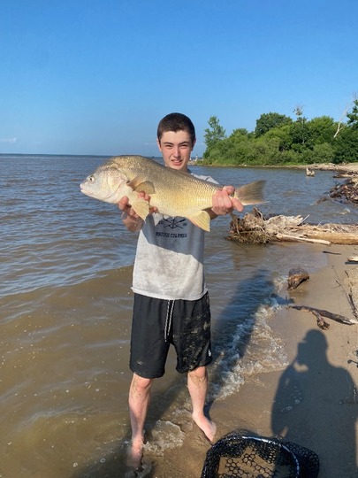 Freshwater Drum