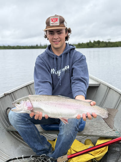 Rainbow Trout