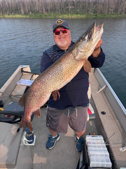 Northern Pike