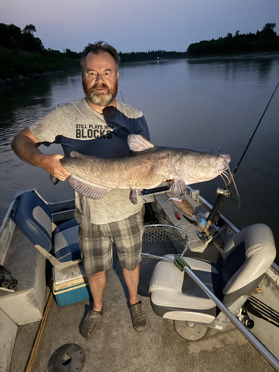 Channel Catfish