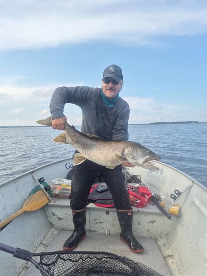 Lake Trout