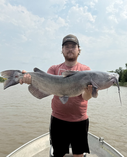 Channel Catfish