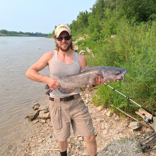 Channel Catfish