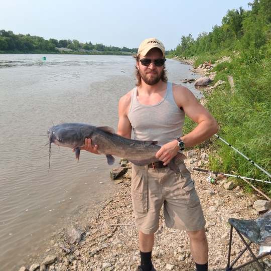 Channel Catfish