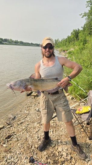Channel Catfish