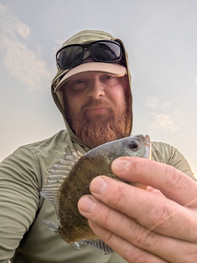 Sunfish