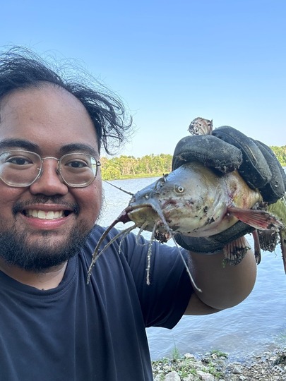 Bullhead
