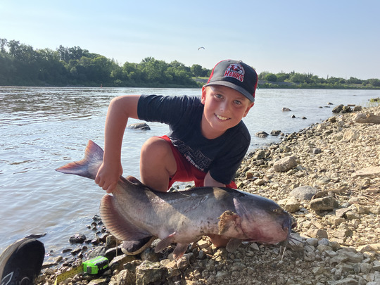 Channel Catfish