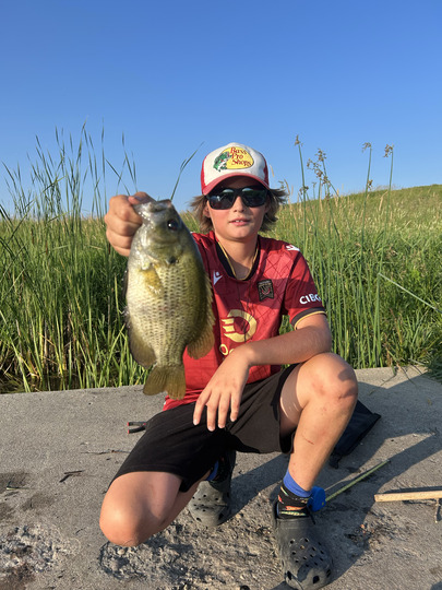 Rock Bass