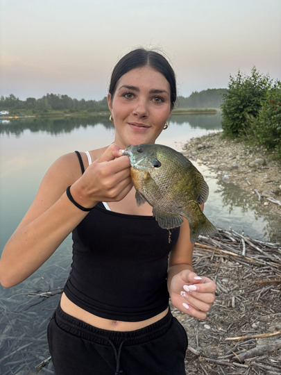 Sunfish