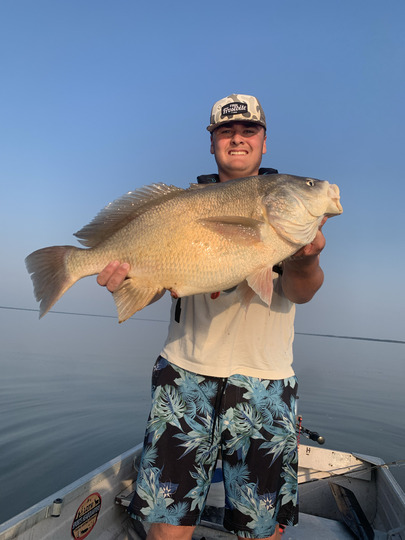 Freshwater Drum
