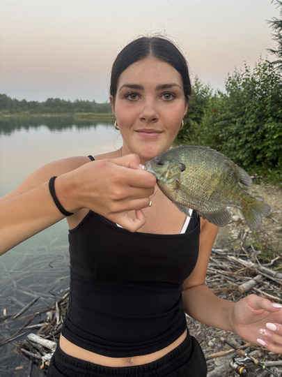 Sunfish
