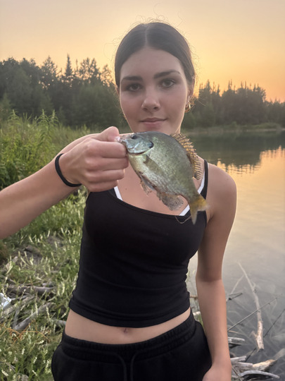 Sunfish