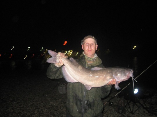 Channel Catfish