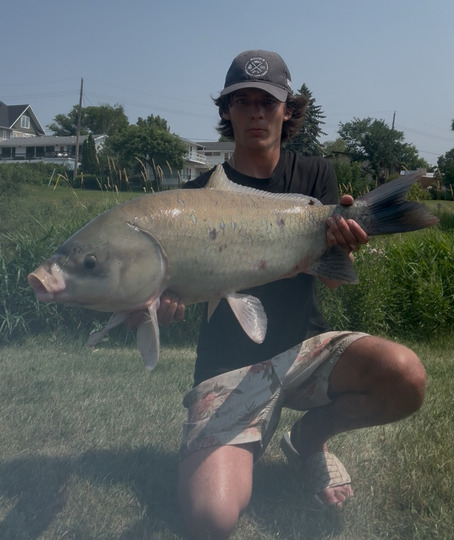 Sucker