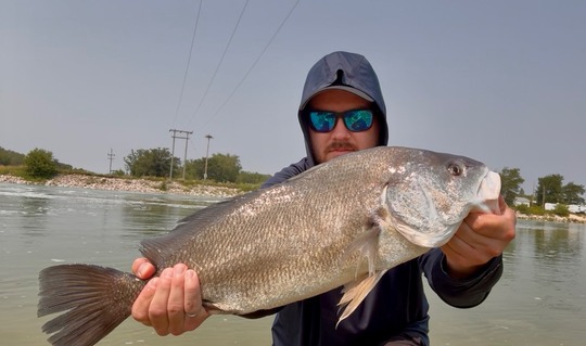 Freshwater Drum