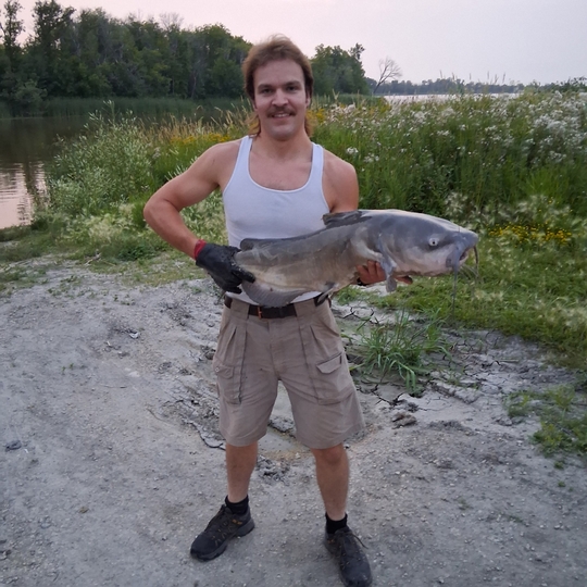 Channel Catfish
