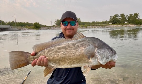 Freshwater Drum