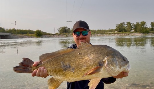 Freshwater Drum