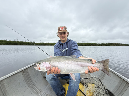Rainbow Trout