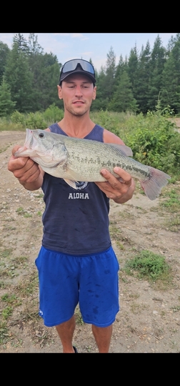 Largemouth Bass