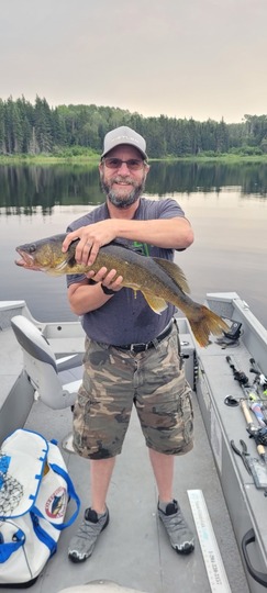 Walleye