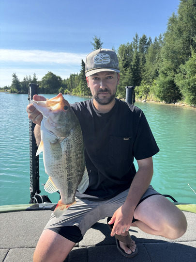 Largemouth Bass