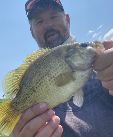 Rock Bass