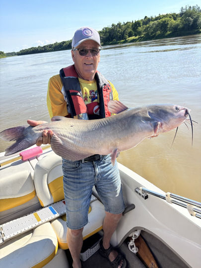 Channel Catfish