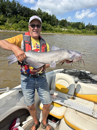 Channel Catfish