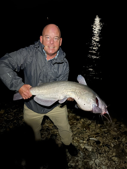 Channel Catfish