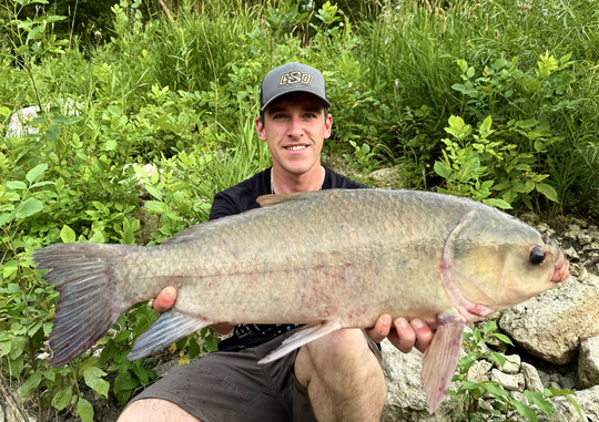 Sucker