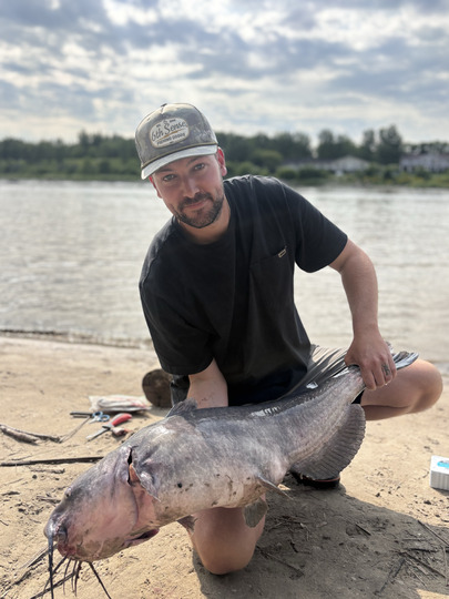 Channel Catfish