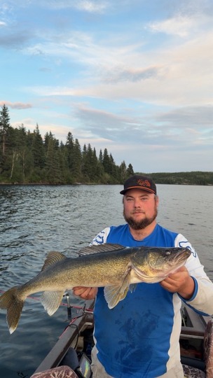 Walleye