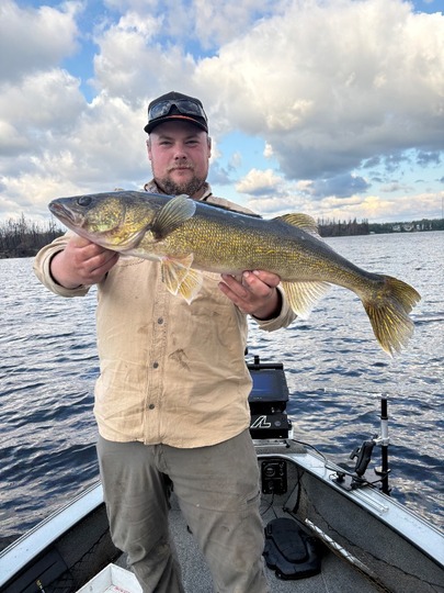 Walleye