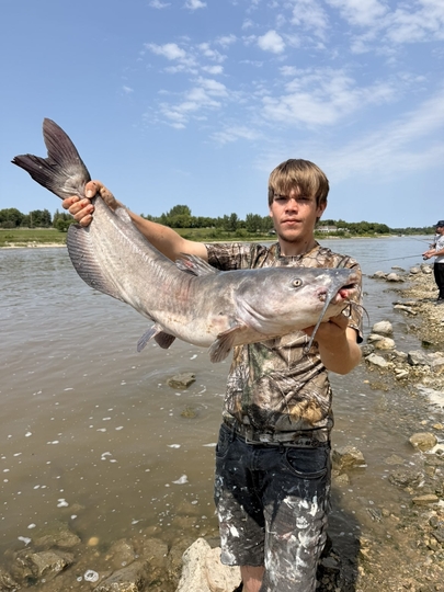Channel Catfish