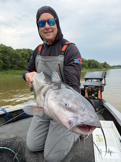 Channel Catfish